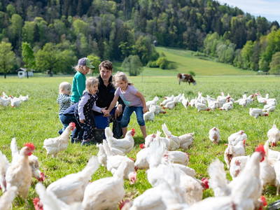 Bild 31 aus  Großrachlhof