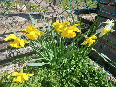 Bild 64 aus  Gregerbauer