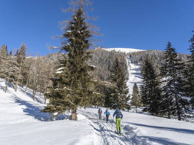 Bild 38 aus  Hof Wieser - Kinderbauernhof