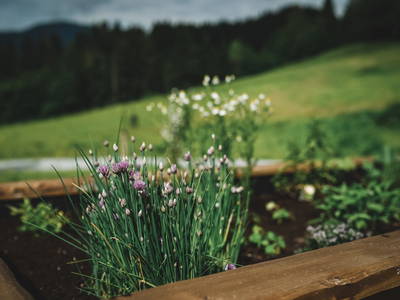 Bild 276 aus  Proneben Gut - Erlebnisbauernhof u. Kuschelhütten