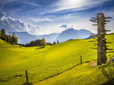Bild 13 aus Testhof Salzburg