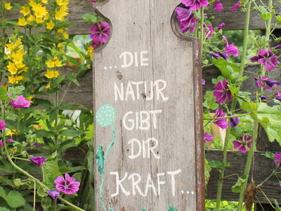 Bild 43 aus  Familienbauernhof mit Märchenkulisse - ZITTRAUERHOF