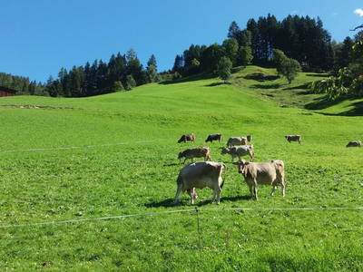 Bild 27 aus  Floachhof