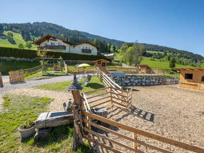 Bild 16 aus  Burnstein