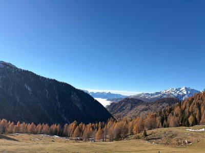 Bild 9 aus  Suntinger Kasa