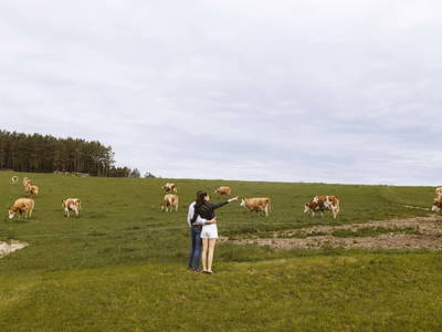 Bild 16 aus  Knappenhof