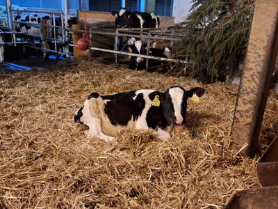 Bild 4 aus  Ferienhof Muxel