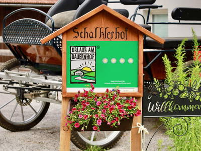 Bild 2 aus  Schalkler