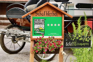 Schalkler aus Pfunds