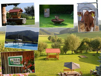 Bild 54 aus  Pölzlhof