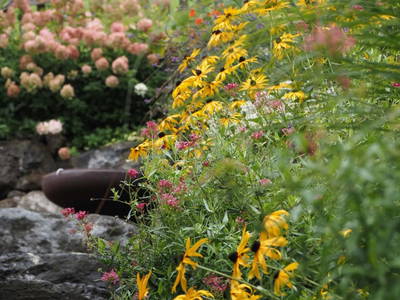 Bild 8 aus  Ferienbauernhof Dür