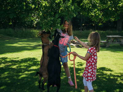 Spaziergang mit unseren Ziegen