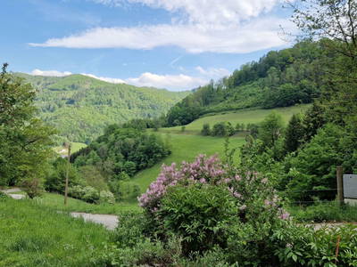 Bild 5 aus  Gsangerer