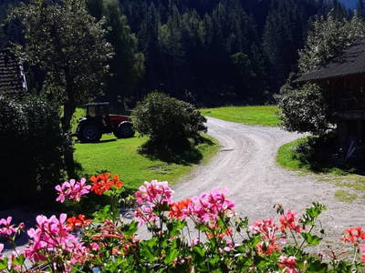 Bild 19 aus  Hirzhof