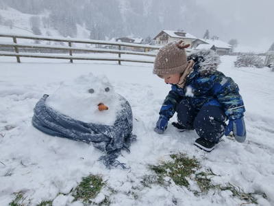 Bild 149 aus  Alfaierhof & Bergheimat