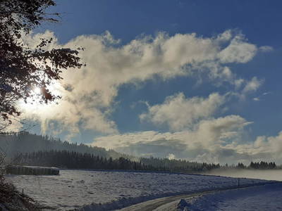 Bild 20 aus  Familienparadies Zeislerhof