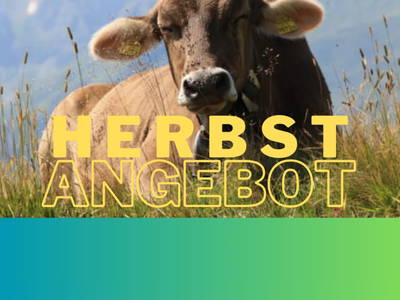 Bild 178 aus Panoramahof Eggele