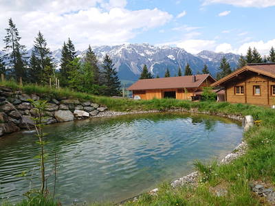 Bild 50 aus  Stegerhof