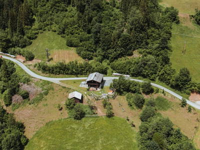 Bild 29 aus  Artlieb