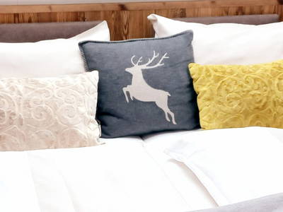 Bild 171 aus  Roiderhof am Irrsee