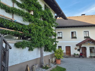 Bild 185 aus  Ferienhof Rabenreith