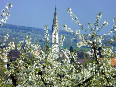 Oberteuringen im Frühling