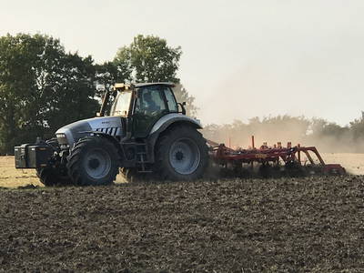 Bild 17 aus  Nübbelhof