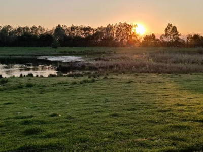 Bild 17 aus  Coproyshof am See