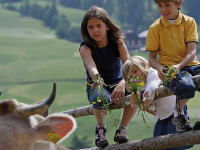 Bild 16 aus  Ban Rutzner (CIN Codex IT021011B5TZ9IFGUO)