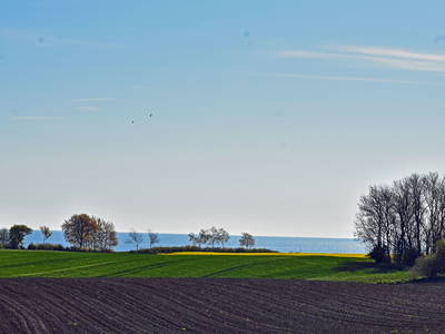 Bild 33 aus  OstseeBauernhof Schönhagen