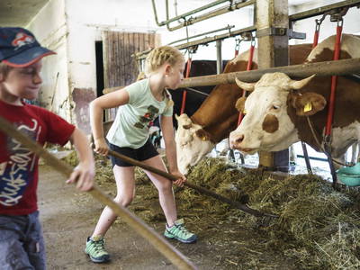 Bild 12 aus  Hof Gottenau