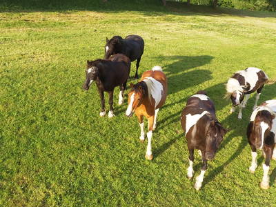 Bild 31 aus  Weidererhof