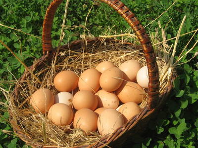 Bild 10 aus  Umsinder Hof