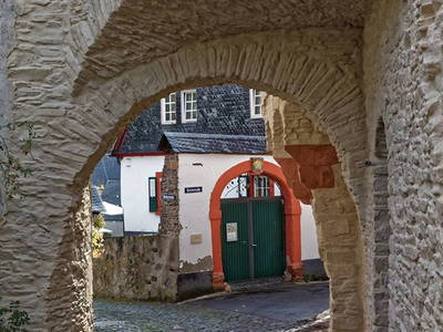 Bild 6 aus  Weingut Borchert, Springiersbacher Hof