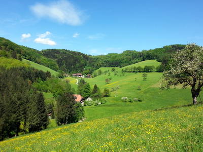Bild 7 aus  Vogtbenedikthof im Schwarzwald