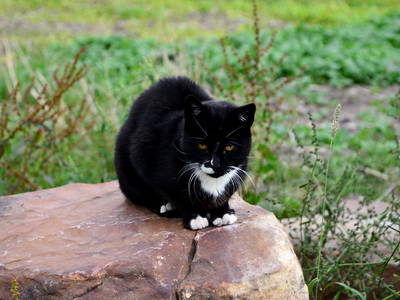 Bild 15 aus  Ferienwohnung Heidehof