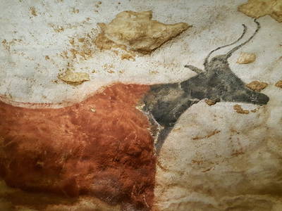 Bild 190 aus  Le Colombié - Ferienhäuser an der Dordogne mieten