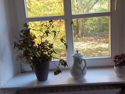 Blick aus dem Küchenfenster