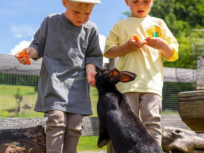 Im Kaninchenstall - Ferienhof Sinz - Bild: Julie Baaske www.whiite.space