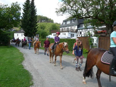 Bild 18 aus  Ponyhof Meier