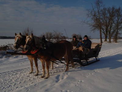 Bild 29 aus  Pension & Wellness am Storchennest