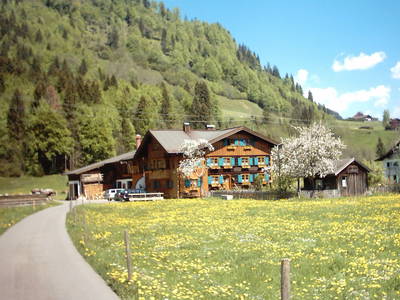 Bild 6 aus  Landhaus Alt mit  Bauernhof* Gesundes Wohnen In Freier Natur* Tolle-Angebote *Bergbahn Unlimited*