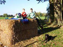 Bild 12 aus  Ferienhof Haselheide