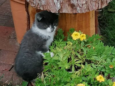 Unser Wirbelwind Emmi