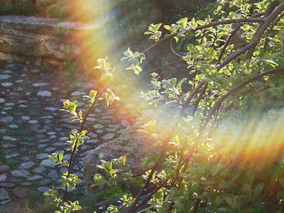 Bild 10 aus  Seeleitenhof