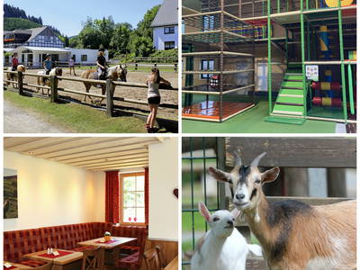 Bild 2 aus  Ponyhof Meier