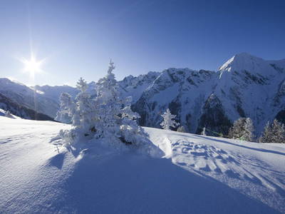 Bild 23 aus  Ferienhaus Bockstecken