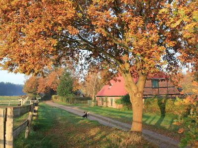 Bild 2 aus  Waldhof Bruchmühle