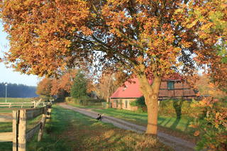 Waldhof Bruchmühle aus Fünfseen