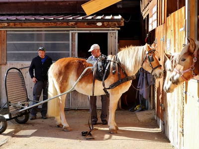 Bild 21 aus  Augustinerhof